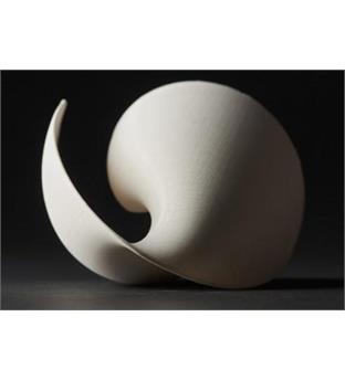 پرینت سه بعدی